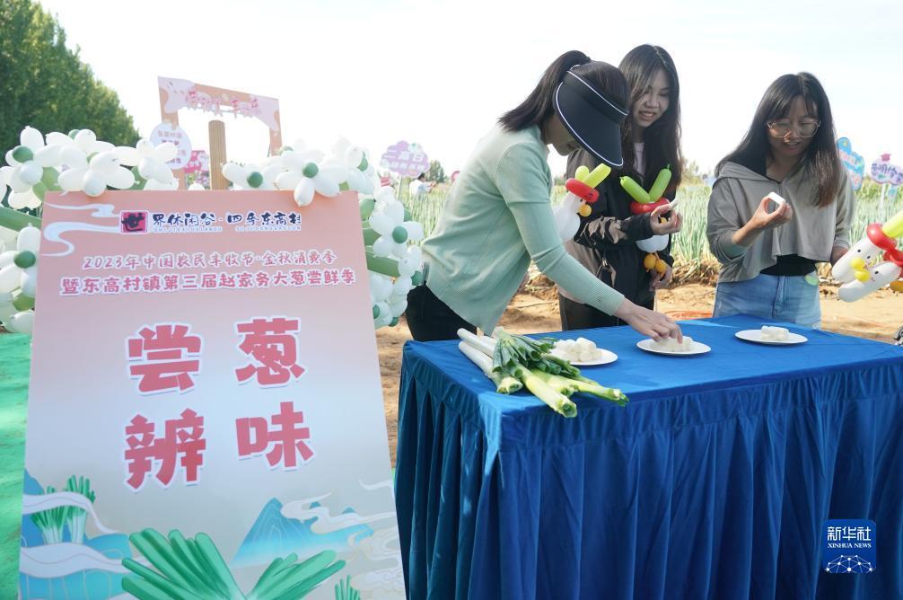指尖十三水
